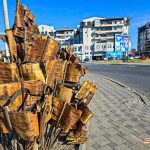 Bijeljina: Petrovdanske lile na svakom koraku, provjerili smo cijene (Foto)