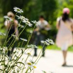 Vremenska prognoza: Danas toplo, ali uz malo nižu temperaturu