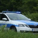 Nesreća kod Srpca: Poginuo u sječi šume