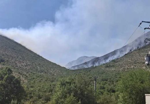 Trebinje: Požari za sada pod kontrolom