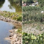 Rijeka Spreča skoro presušila: Spržene bašte, ugrožena riba