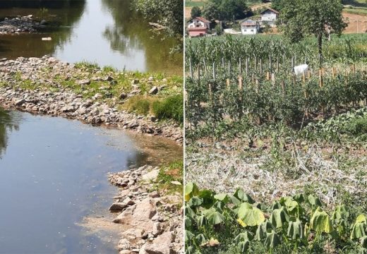 Rijeka Spreča skoro presušila: Spržene bašte, ugrožena riba