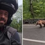 Rumunija: Marko Rokvić “oči u oči” sa medvjedom (Video)