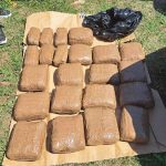 Policija: U akciji “Insajder” uhapšena dvojica Banjalučana, zaplijenjeno 27 kilograma marihuane