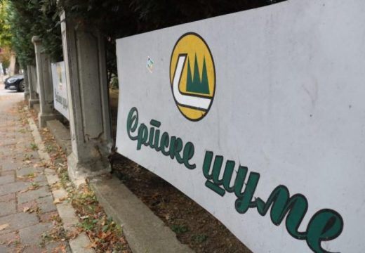 Problemima nema kraja: Šume Srpske u minusu od čak 6 miliona maraka