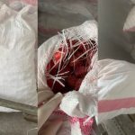Zabranjen uvoz: Inspekcija zaustavila 22 tone zamrznutih jagoda iz Egipta i sladoled iz Turske