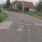 Bijeljina: Mještani Glogovca upozoravaju – ambrozija i rupe na putu ugrožavaju bezbjednosti djece (Foto)