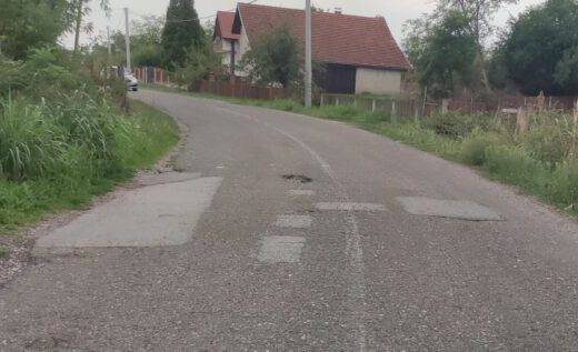 Bijeljina: Mještani Glogovca upozoravaju – ambrozija i rupe na putu ugrožavaju bezbjednosti djece (Foto)