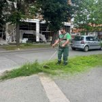 Briga o zelenilu Bijeljine: Navodnjavanje i košenje u punom jeku (foto)