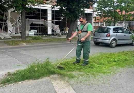 Briga o zelenilu Bijeljine: Navodnjavanje i košenje u punom jeku (foto)