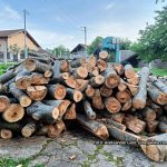 Sedam metara drva ili klima uređaj?: Koliko košta ogrev