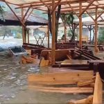 Posljedice snažnog nevremena: Poplavljeno područje kod slapova Kravice (Video)