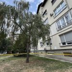Detalji drame u Brčkom: Policajac poginuo tokom provale, ljubavnica ga čekala u autu