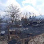 Od sinoć gori: Veliki požar kod Neuma približava se kućama
