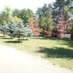 Suša spaljuje Gradski park: Mlade sadnice venu, zemlja puca