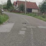 Mještani MZ Glogovac upozoravaju: Ambrozija i šiblje pored puta, na kolovozu rupe – djeca u ponedjeljak kreću u školu