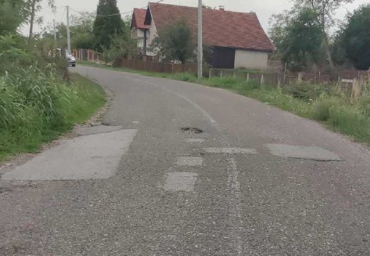 Mještani MZ Glogovac upozoravaju: Ambrozija i šiblje pored puta, na kolovozu rupe – djeca u ponedjeljak kreću u školu