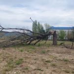Jako nevrijeme pogodilo region: Jak vjetar čupao krovove i lomio drveće