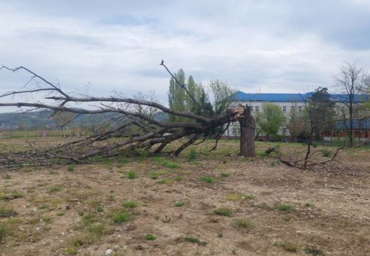 Jako nevrijeme pogodilo region: Jak vjetar čupao krovove i lomio drveće