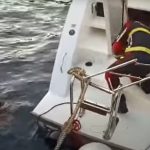 Vatrogasci spasili 16 ljudi: na Jadranu napravilo haos (Video)