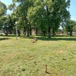 Bijeljina: Uređenje zelenih površina u Batkoviću (Foto)