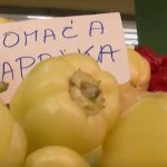 Pijaca: Da li je isplativije kupiti zimnicu ili praviti s obzirom na poskupljenje? (Video)