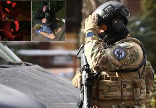Akcija “Kavez”: Ko su “Panteri” i zašto ih hapse?