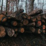 BiH: Naglo poskupljenje drva i peleta, najavljen novi rast cijena