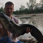 Bijeljina: Som od 14,5 kilograma izvučen iz jezera kod Popova