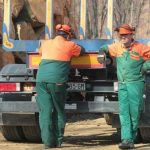 “Šume RS” u operaciji stimulativne otpremnine: Evo koliko će hiljada maraka dobiti šumari koji daju otkaz ili odu u penziju