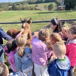 Nova atrakcija u izletištu Čičino Sokače: Ždrijebe Pikolina oduševilo najmlađe posjetioce (Foto)