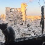 Svijet: Može li primirje u Gazi prerasti u trajni mir?