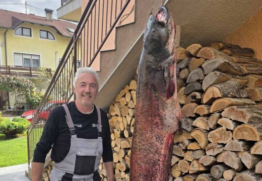 Ribolov: Zlatko Miličević iz Laktaša ulovio soma kapitalaca (Foto)