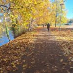 Prognoza: Ovo je datum završetka miholjskog ljeta