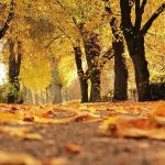 Miholjsko ljeto mrazno i bez sunca: Pogledajte kad će stegnuti zima