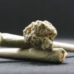 Podignuta optužnica za neovlaštenu proizvodnju i promet opojnih droga: Pojedincima u Bratuncu po stotinu puta prodao marihuanu