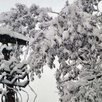 Muke mještana prokupačkih sela: “Bacili smo pun zamrzivač hrane, struje nema peti dan”