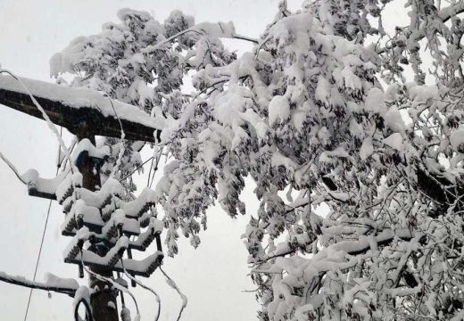 Muke mještana prokupačkih sela: “Bacili smo pun zamrzivač hrane, struje nema peti dan”