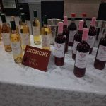 Bijeljina: Vina s dušom (Foto)
