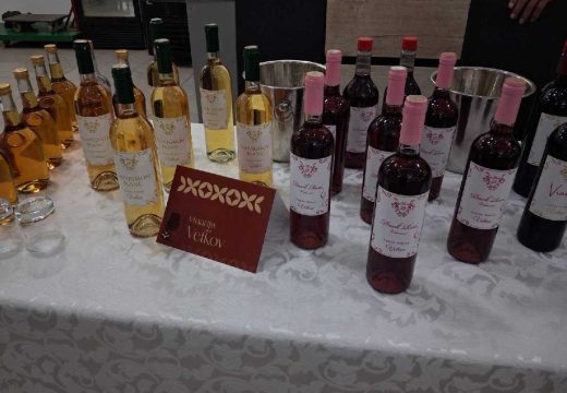 Bijeljina: Vina s dušom (Foto)