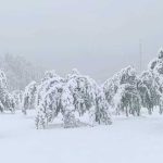 Minus 7 i snijeg od 30 cm u oktobru: Ekstreman početak mjeseca (Video)