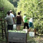 RS: Srpska priprema zakon koji će uvesti red u angažovanje sezonaca