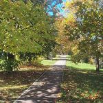 Temperatura do 21 stepen: Danas pretežno sunčano i toplije