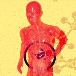 Revolucionarni lijek za masnu jetru: Evropa dobila prvu specifičnu terapiju