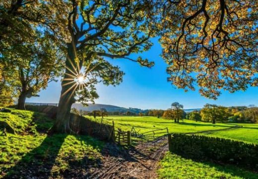 Uživajte danas: Vedrije i toplije nego prethodnih dana