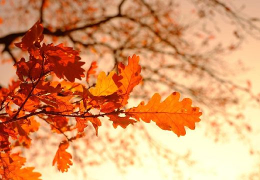 Nakon jutarnje magle: Danas sunčano i toplije