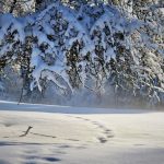 Stižu minusi: U petak i za vikend snijeg širom BiH