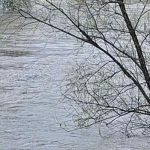 Region: Proglašena vanredna odbrana od poplava zbog izlivanja Južne Morave