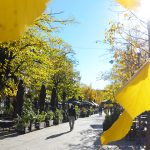 Padavine slabe, temperature rastu: Prognoza za vikend donosi i sunce