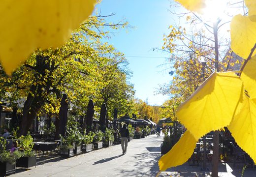 Padavine slabe, temperature rastu: Prognoza za vikend donosi i sunce